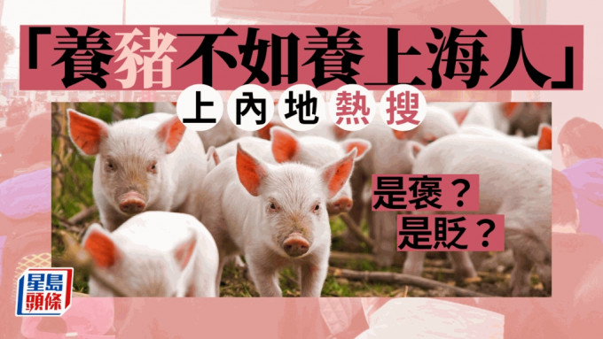 「养猪不如养上海人」一句话，成内地网络热搜。