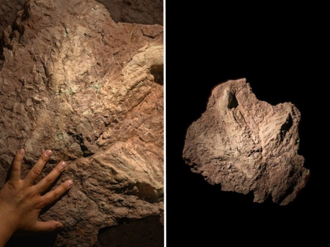 中外古生物學專家學者宣布在江西贛州發現了一個巨大的恐龍足跡。　網圖