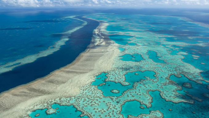 联合国建议大堡礁列濒危世遗。AP