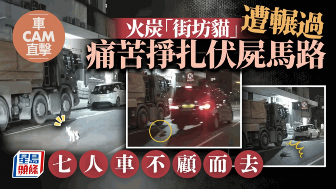 車Cam直擊│火炭七人車輾斃「街坊貓」不顧而去 網民悲憤：追究到底