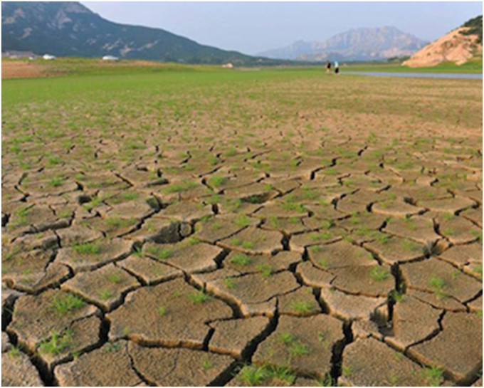 受旱災草場面積達5.5億畝。資料圖片