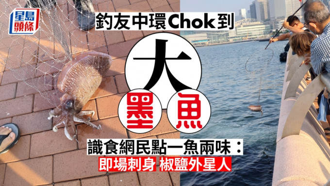 網民直擊生猛大墨魚在中環海濱上釣。網圖