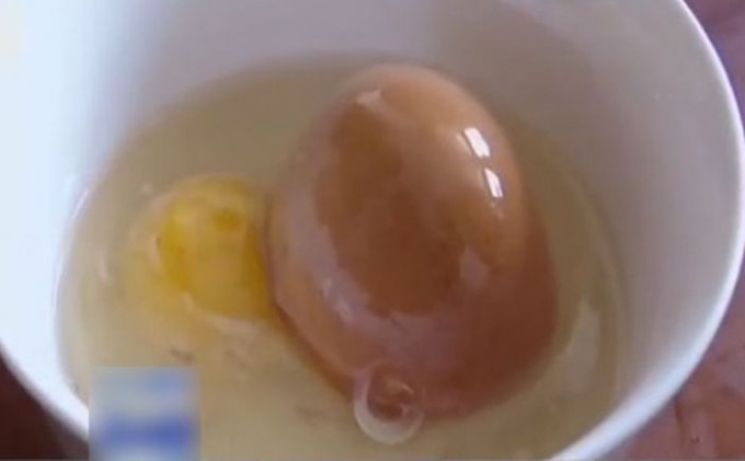 巨蛋内还有一只带硬壳的鸡蛋。网图