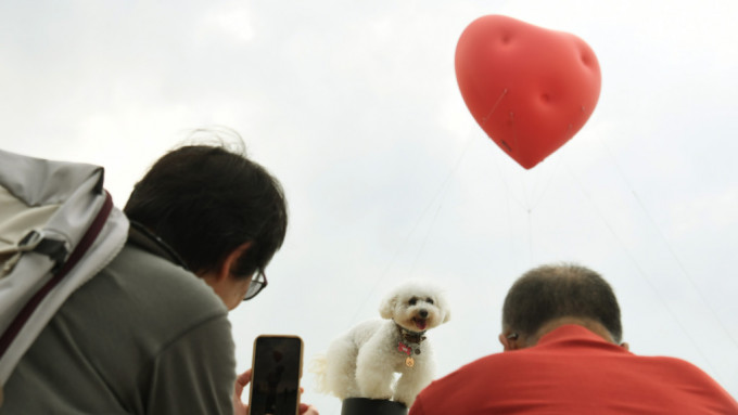 Chubby Hearts Hong Kong展期还有两天便结束。资料图片