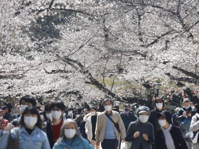 东京有不少人外出赏樱。AP图片