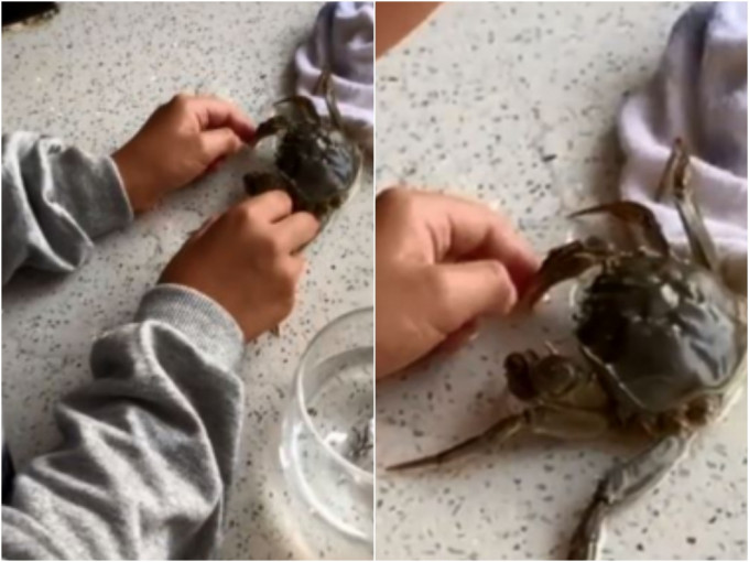 男童冷静地叫妈妈耐心等候，让螃蟹自行「松钳」。