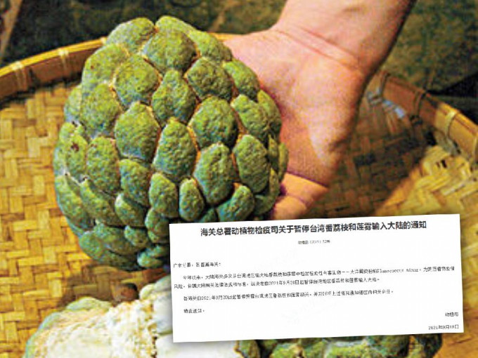 國家海關總署宣布，暫停台灣番荔枝和蓮霧輸入到大陸。