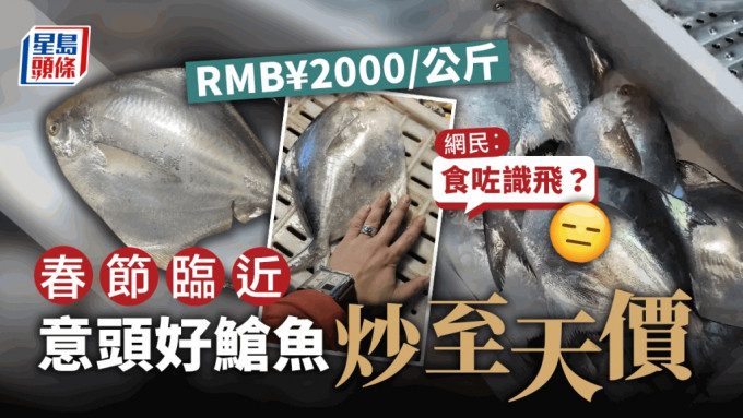 宁波全鳞大鲳鱼价格已涨至人民币2000元1公斤，刷新纪录。网图/ 星岛制图