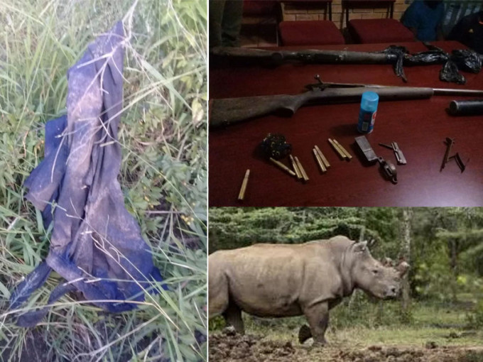 盗猎犀牛者尸体被狮群吃剩头骨和裤子（右），当地警方逮捕其他三名盗猎者，并查获两支猎枪和弹药（左）。
