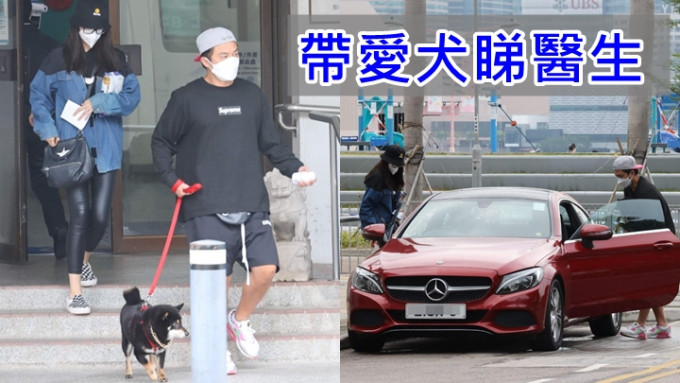 杨明返内地拍剧前带爱犬睇医生。