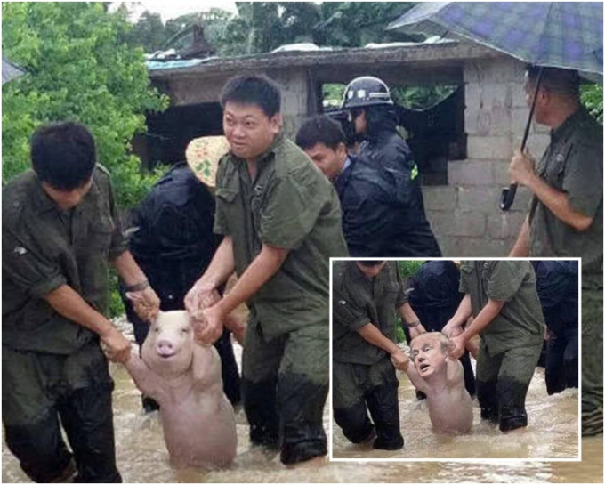 相片被網民惡搞，換成美國總統特朗普頭像（小圖）。網圖