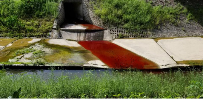 方国珊发现麻笏河附近有大量红色污水排出。方国珊图片