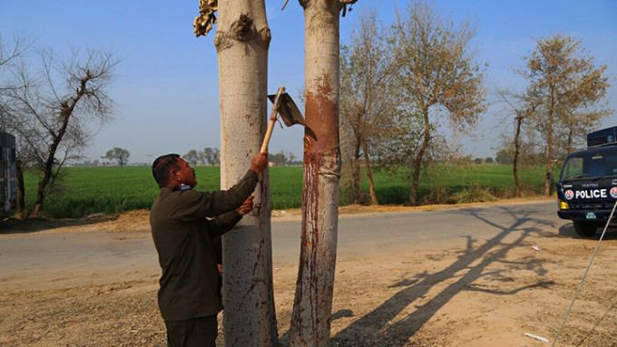 男子遇害時被綁的樹上仍血跡斑斑。AP圖片