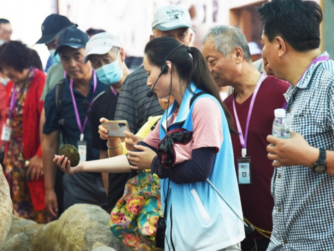 內地低風險地區省份可恢復跨省旅行團。資料圖片