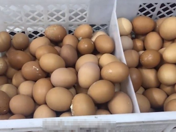 北京一間便利店舉辦環保活動，居民只要撿1斤狗糞就能換1斤雞蛋。　網上圖片
