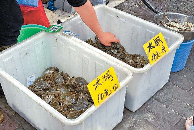 上海一海鲜市场的大闸蟹跌至10元一只。