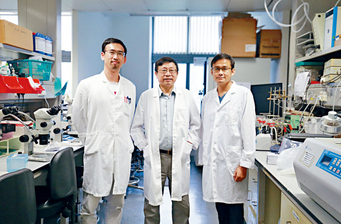 骆江云（左起）、黄聿及王力的团队，获得一九年度高等学校科学研究优秀成果奖（科学技术）自然科学奖一等奖。