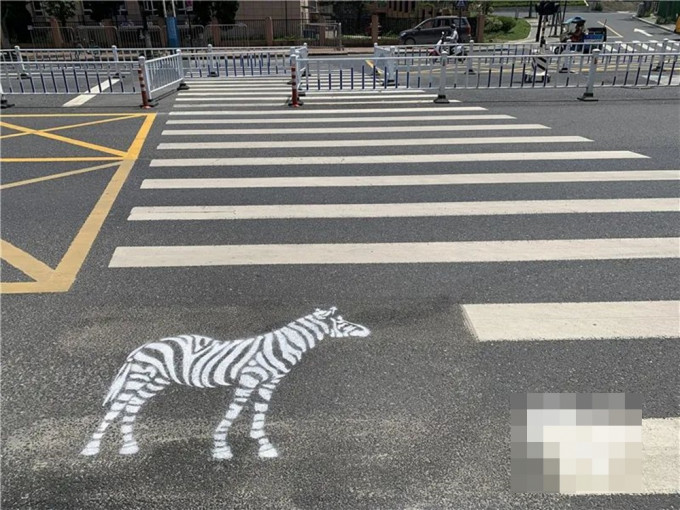 杭州一條斑馬線被噴上一隻斑馬圖案。杭州新聞中心圖片