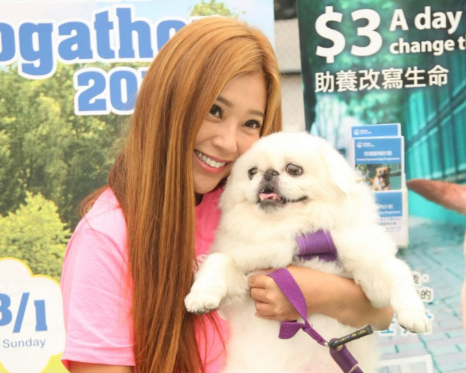 傅明宪想纠正爱犬的「公主病」。