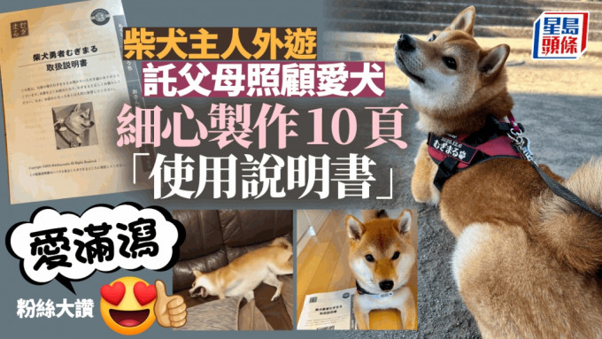 饲主将柴犬「小麦丸」和说明书一起交托给父母。