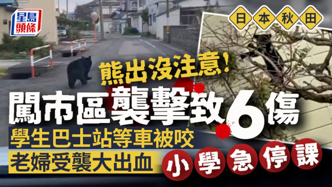 熊出沒注意｜日本秋田熊周街襲擊釀6傷 小學急停課避險