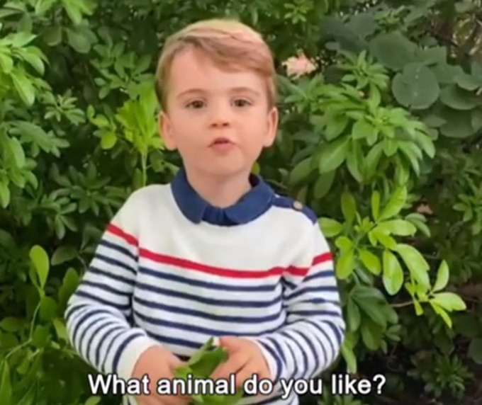 路易王子緊張說住葉枝問艾登堡爵士，喜歡什麼動物。Instagram截圖