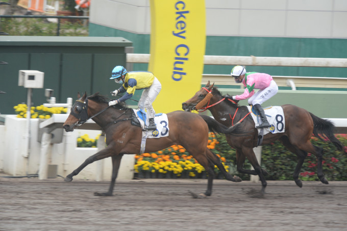 郑俊伟今午凭「再大大」 取得季内第四场头马。