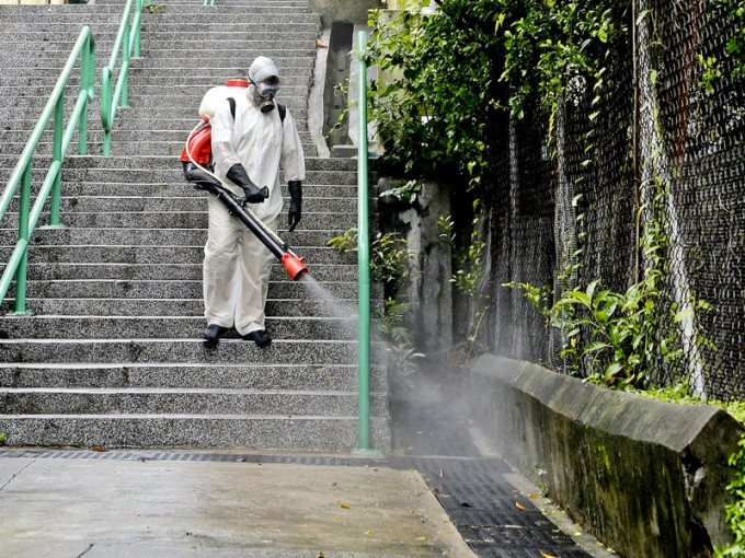 本港爆發本地登革熱疫情，長洲是源頭之一。 資料圖片