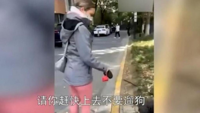 上海一对外交官夫妇出门遛狗。