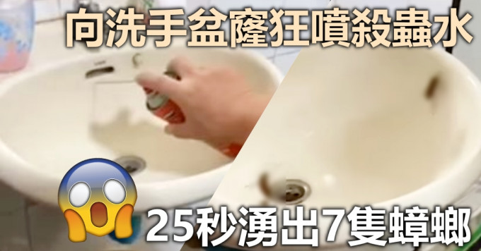 台男向洗手盆窿狂喷杀虫水，半分钟涌出7大只蟑螂。影片截图