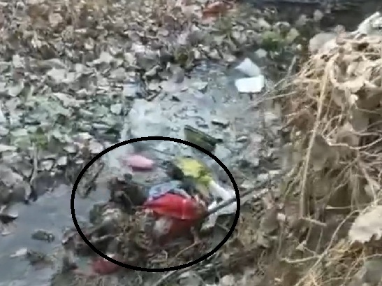 男童其屍體漂浮在一條垃圾水溝。 網上圖片
