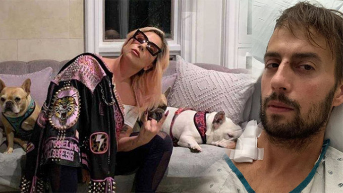 Lady Gaga去年被偷兩隻愛犬，案件近日開庭。