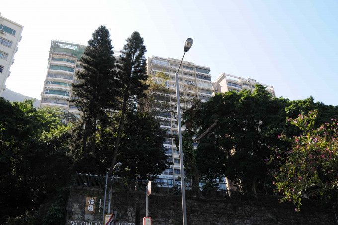贸发局9600万沽东半山豪宅 。