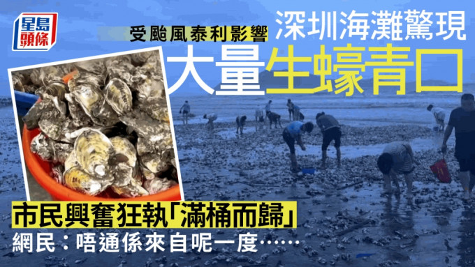 颱風泰利｜深圳海邊驚現遍地生蠔青口 市民興奮擸桶任執