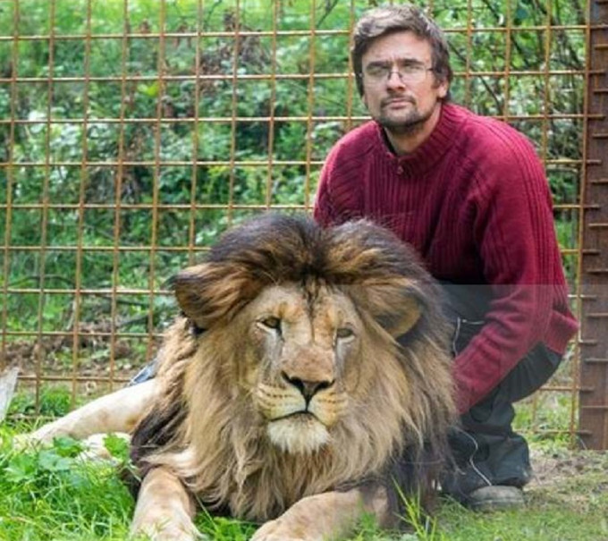 捷克男子遭自己養的獅子咬死 。網上圖片