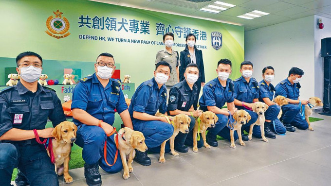 香港海关与机场保安有限公司首次合作繁殖八只拉布拉多幼犬，它们将肩负「守护香港」责任。
