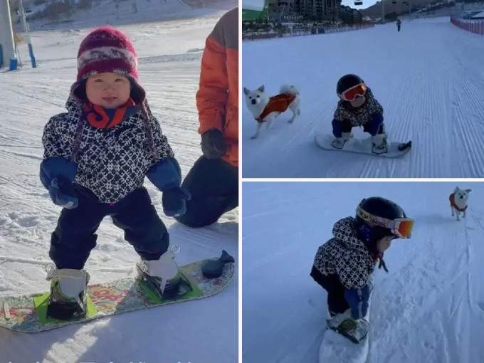 河北11个月大女童神级滑雪板技术震惊网民。