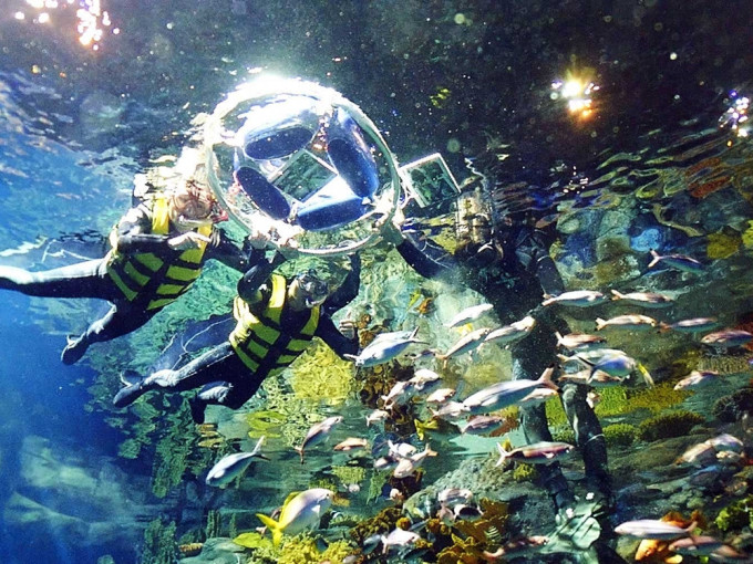 海洋公园推出夏日限定浮潜体验 – 「鱼」乐零距离。海洋公园相片