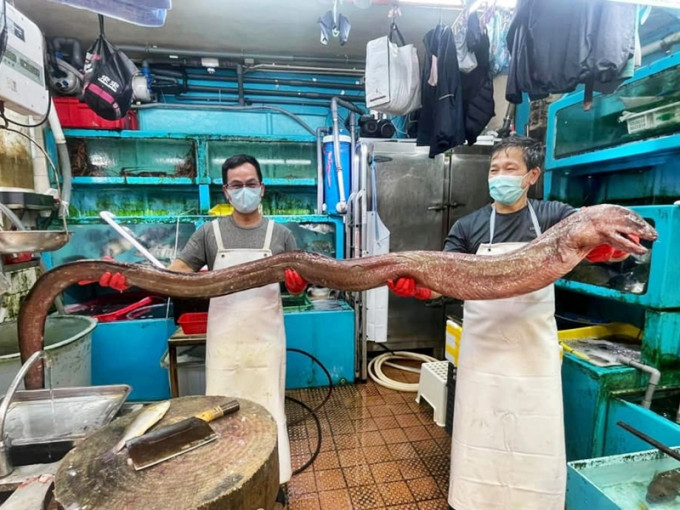 美孚街市某鱼档近日惊现长11尺、重20斤的大油𩺬。「香港街市鱼类海鲜研究社」图片