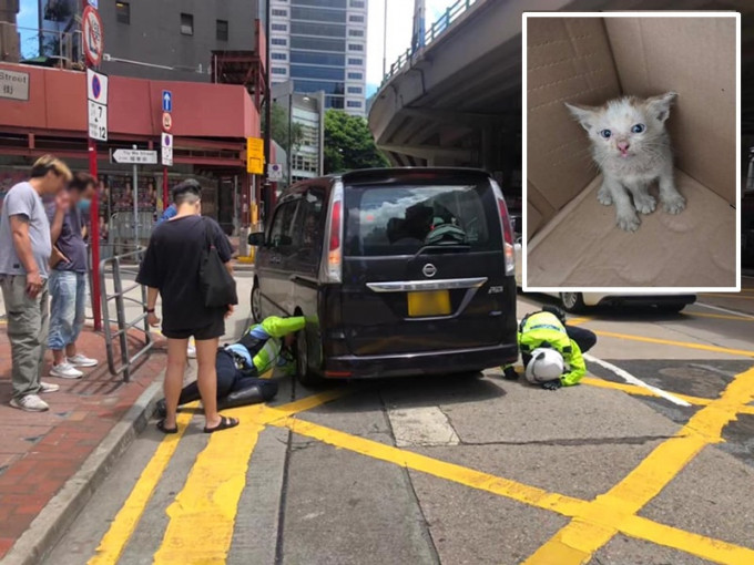 两名交通警员俯身伸手入车底合力将小猫救出。图:警方fb