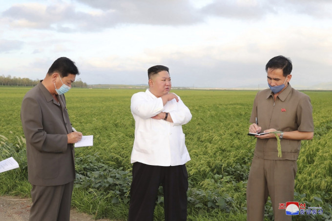 北韓領袖金正恩到黃海南道，視察風災對農作物造成的損失。AP圖片