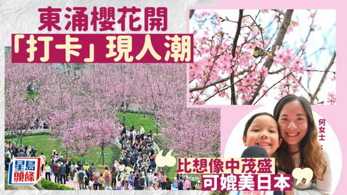 大批市民到東涌櫻花園 「打卡」。