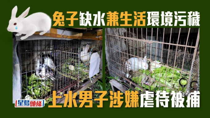 兔子被困于露天放置的铁笼，衞生情况恶劣兼没有足够食水。 警方提供