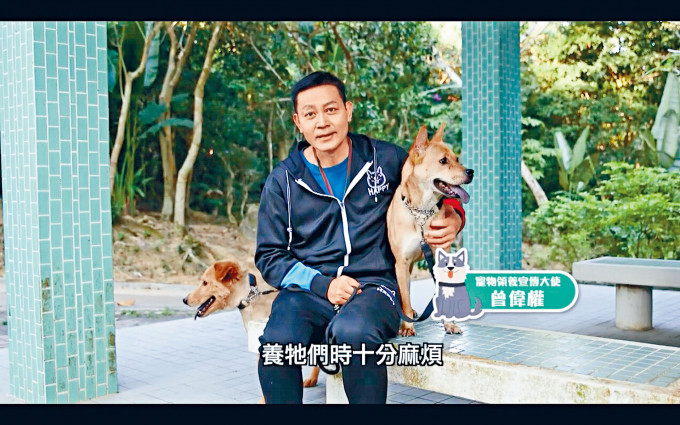 ■曾偉權雖沒跟TVB續約，但月前曾偕兩隻愛犬為漁護處拍宣傳片。