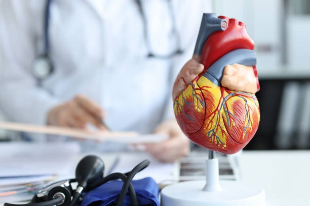 美国每年有近100 万人死于心血管疾病。istock