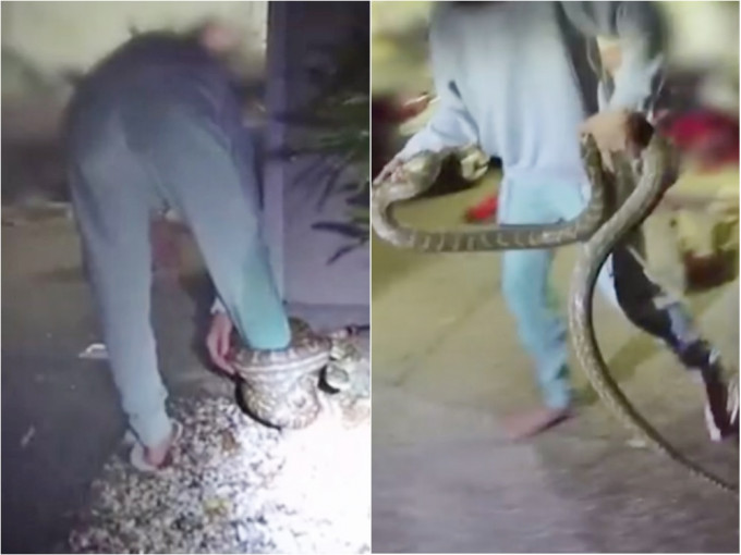 澳洲一名女子被蟒蛇緊纏右腳，場面凶險。影片截圖
