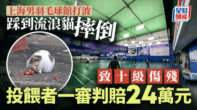 上海男子被流浪猫绊倒受伤案再审　投喂者一审曾判赔24万