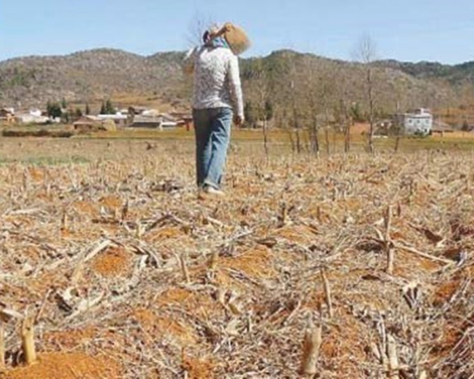 雲南上月先後發生風雹、乾旱等天災。