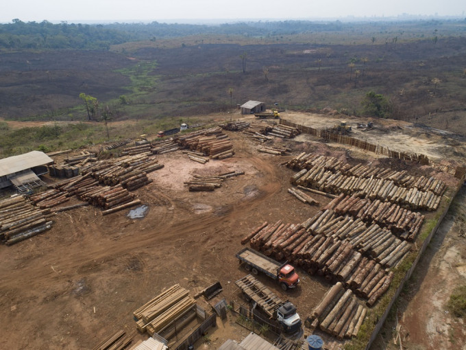 巴西公布的一項最新研究指，當地去年伐林量按年增加22%。AP資料圖片