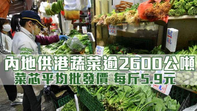 內地供港蔬菜昨日逾2600公噸，與平日相若。資料圖片